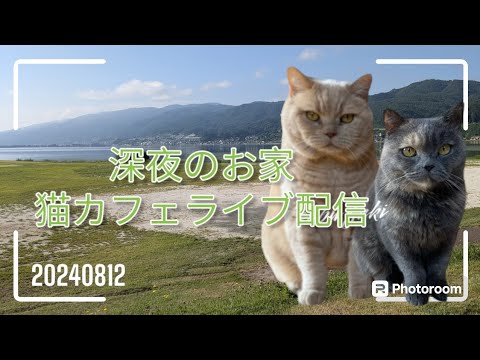 深夜のお家猫カフェライブ配信　１４３