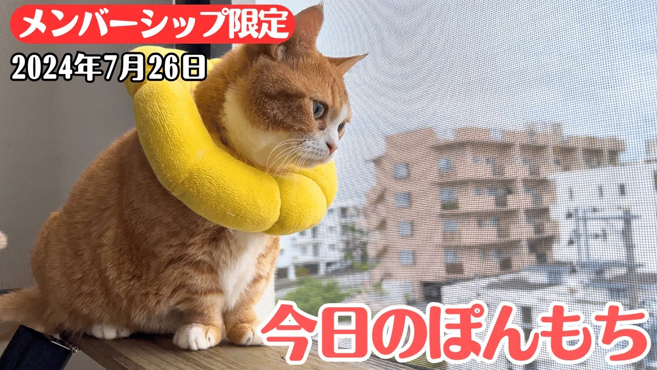 【特別公開】この動画は7月26日にメンバー限定で公開した動画です！