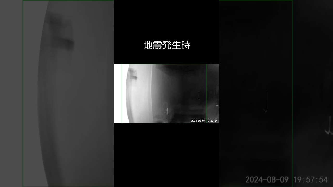 地震発生時 #ソマリ #キジトラ #保護猫 #しぴこめ #しぴこめしゃんねる #ねこ #腎不全 #腎臓病 #尿路結石 #ソマリレッド #猫の暮らし