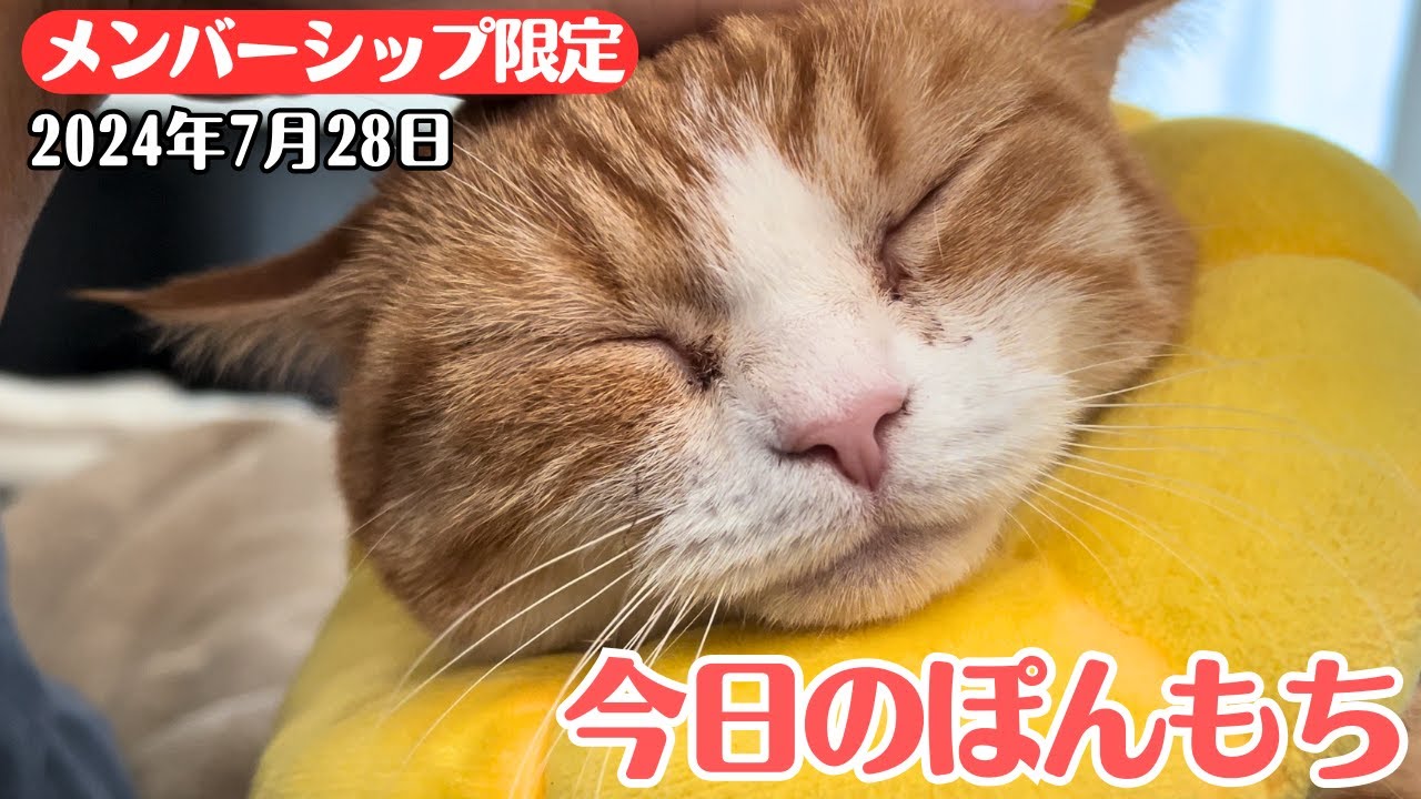 【特別公開】この動画は7月28日にメンバー限定で公開した動画です！
