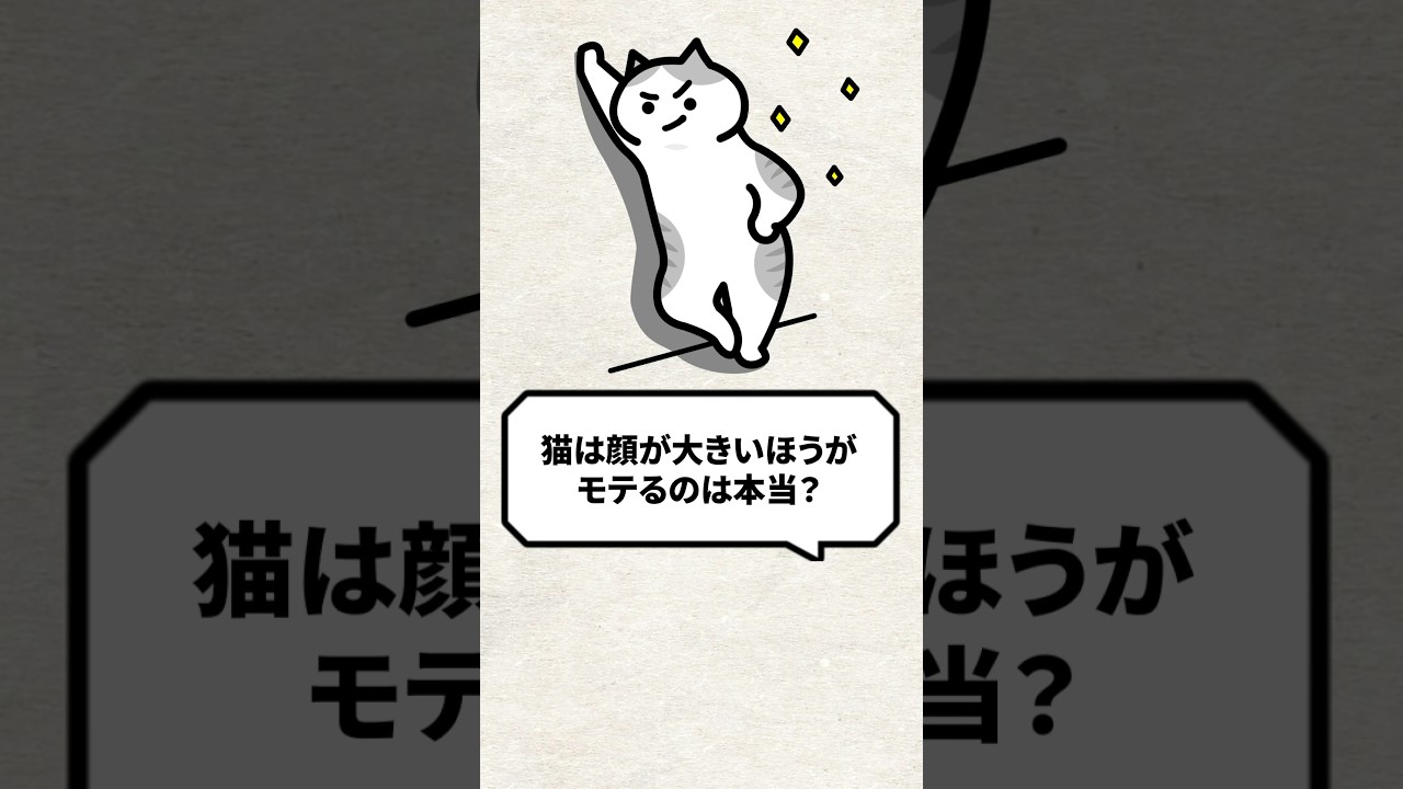 Q：猫は顔が大きい方がモテるって本当？ #猫 #猫好きさんと繋がりたい #ねこ