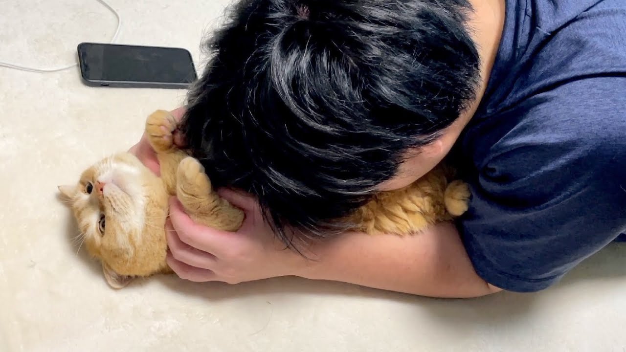 洗いたてふわふわの猫を猫吸いしたら最高でした！