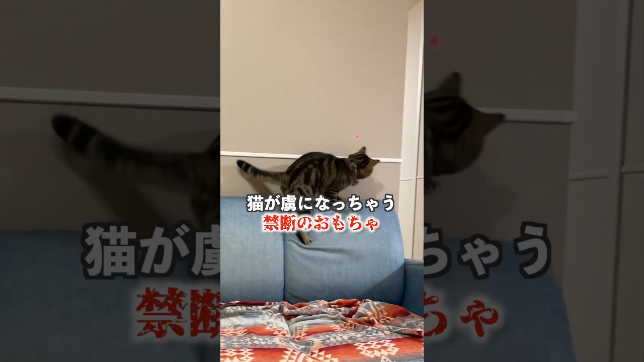 自動のレーザーが神すぎた！！