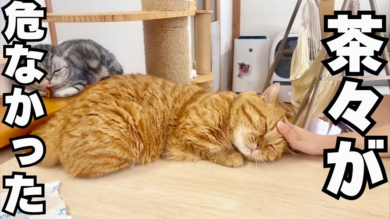 まさかの場面に危険がひそんでました汗