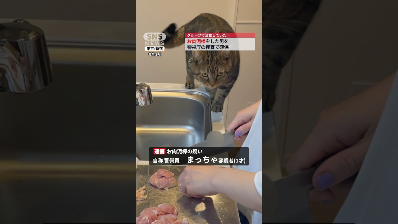 プロのお肉泥棒が逮捕
