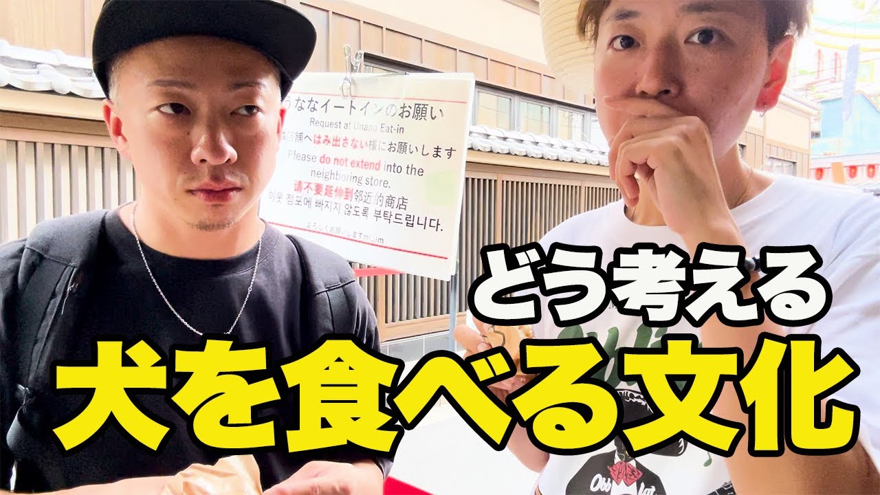 【保護犬訪問旅】東京墨田区の犬猫カフェを訪問。日本韓国の犬食の歴史について店長さんと語ってきた。今自分達にできることを考える。