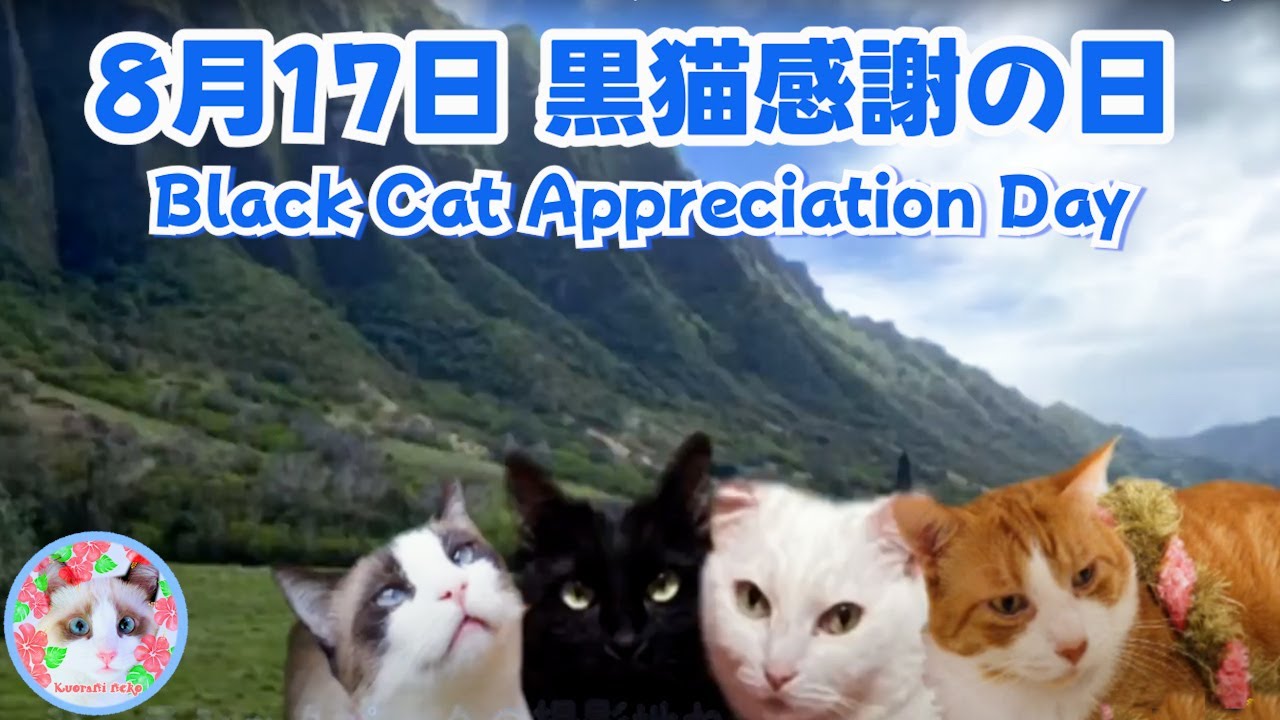 8月17日は○○感謝の日なんですにゃ Black Cat Appreciation Day