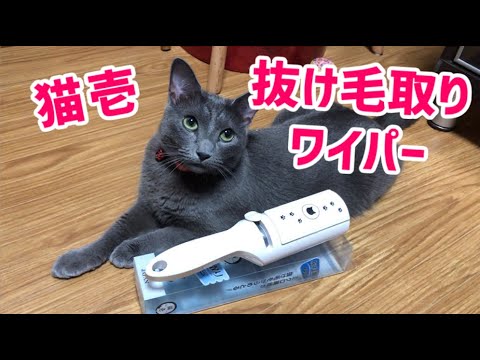 【ロシアンブルー】猫壱抜け毛取りワイパー/キャットタワー