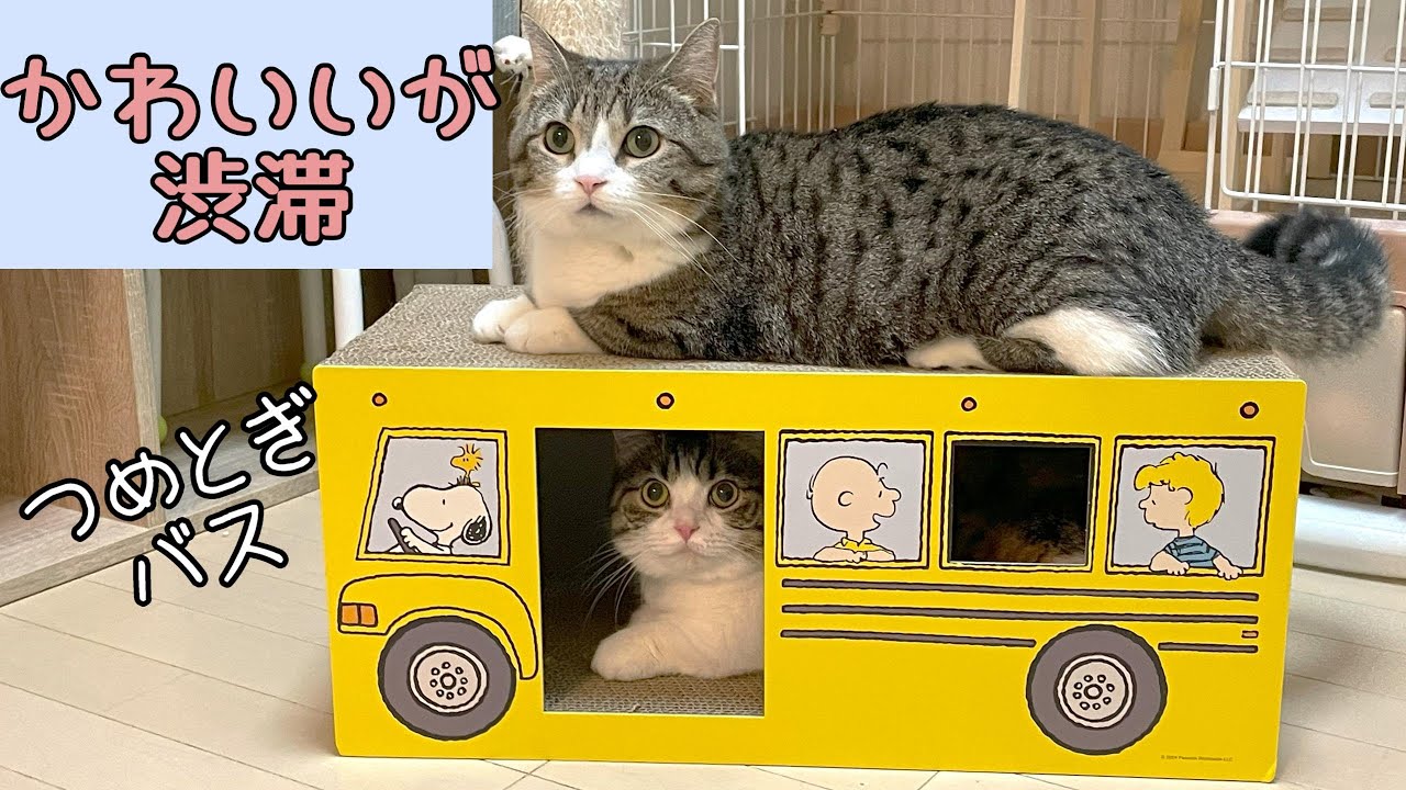 可愛い つめとぎハウス！スヌーピーの猫用スクールバス！