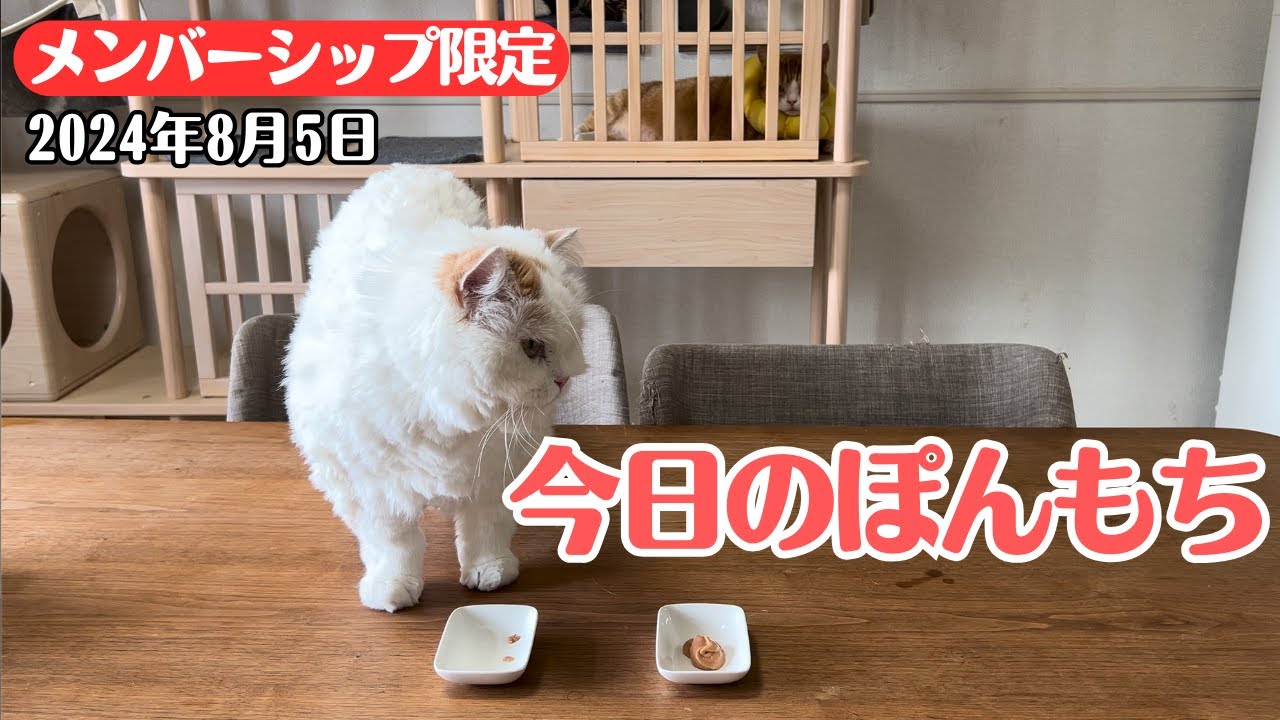 【特別公開】この動画は8月5日にメンバー限定で公開した動画です！