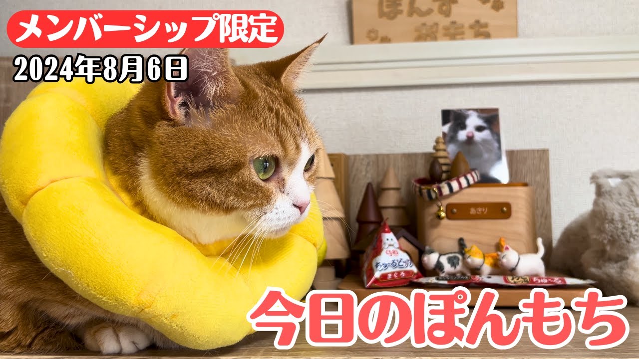 【特別公開】この動画は8月6日にメンバー限定で公開した動画です！