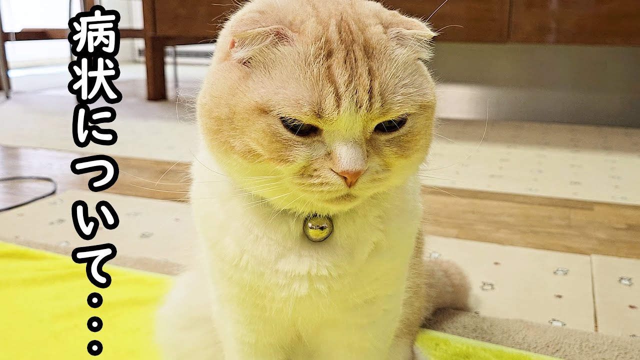 病状についてお話いたします