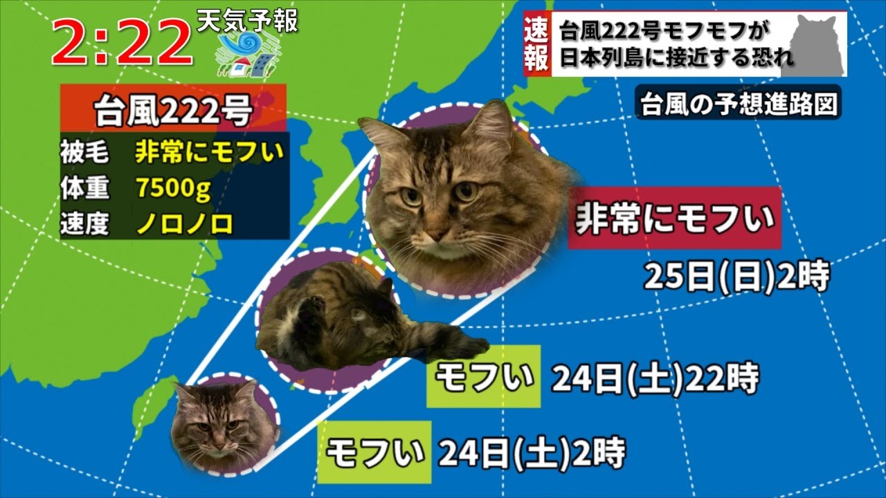 【速報】大猫台風222号が日本列島直撃か