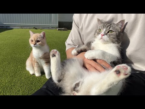 初めて兄弟で一緒にお散歩に行ったらまさかの展開になりました…