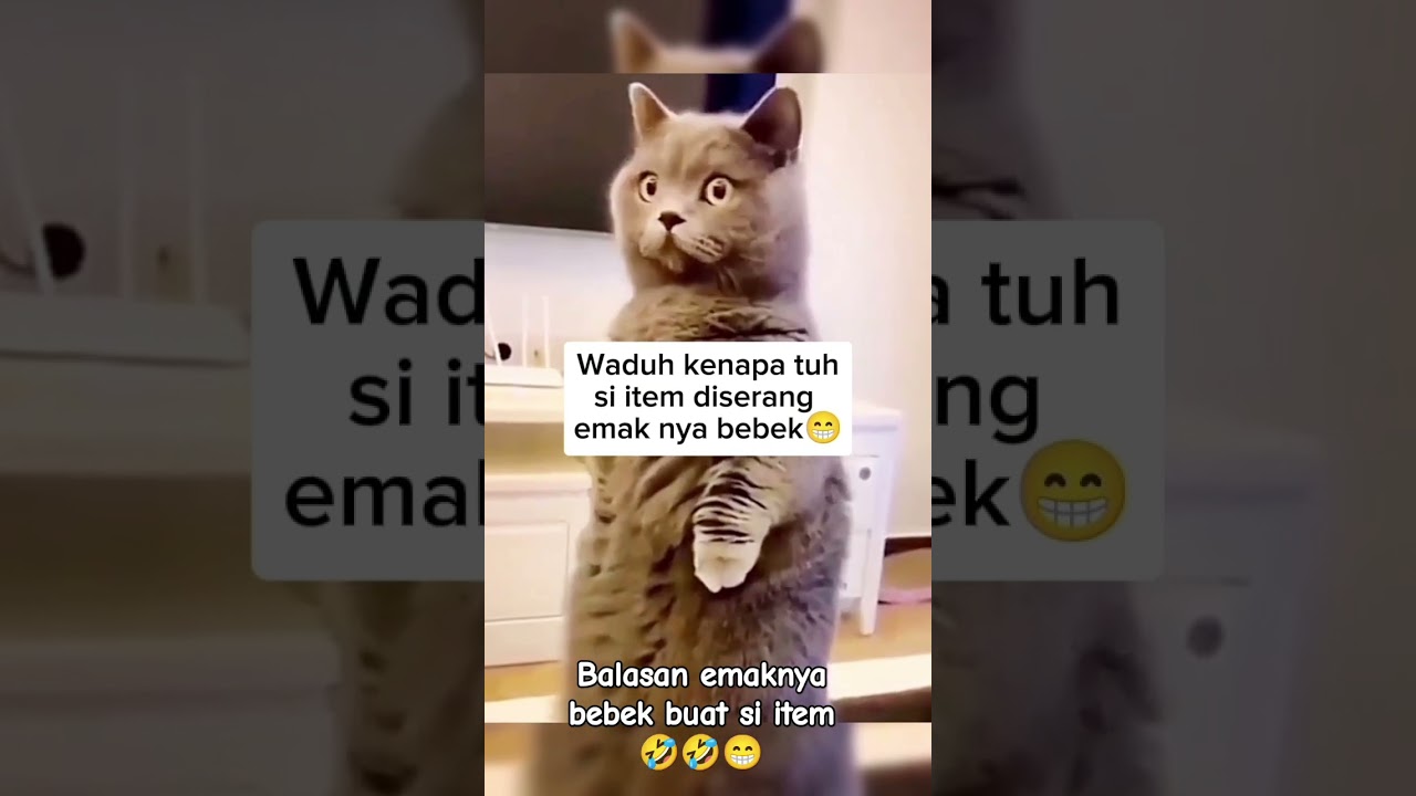 Si item gak ada uhluk sama anak bebek🤣😁 #shorts