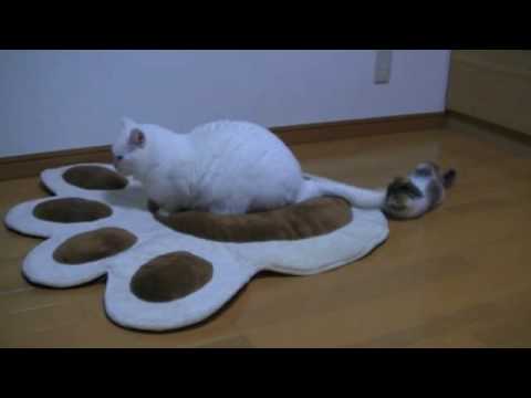 スコｖｓマンチⅣ