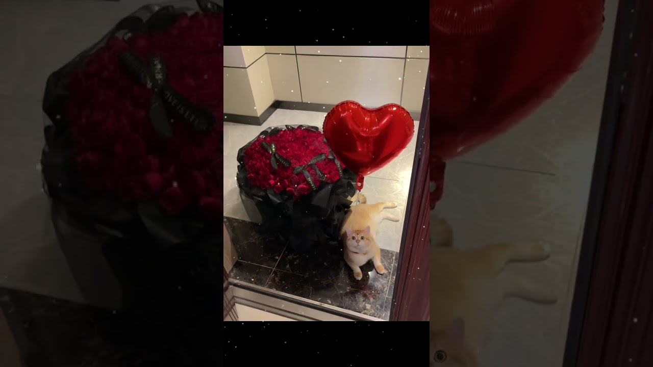 You said you like flowers. Someone promised you but didn't buy you one for more than half a year