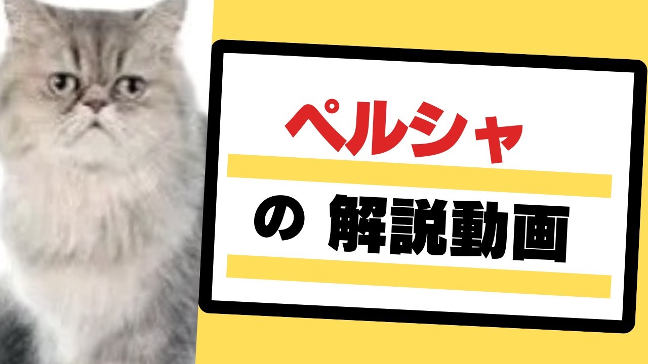 ペルシャの解説動画