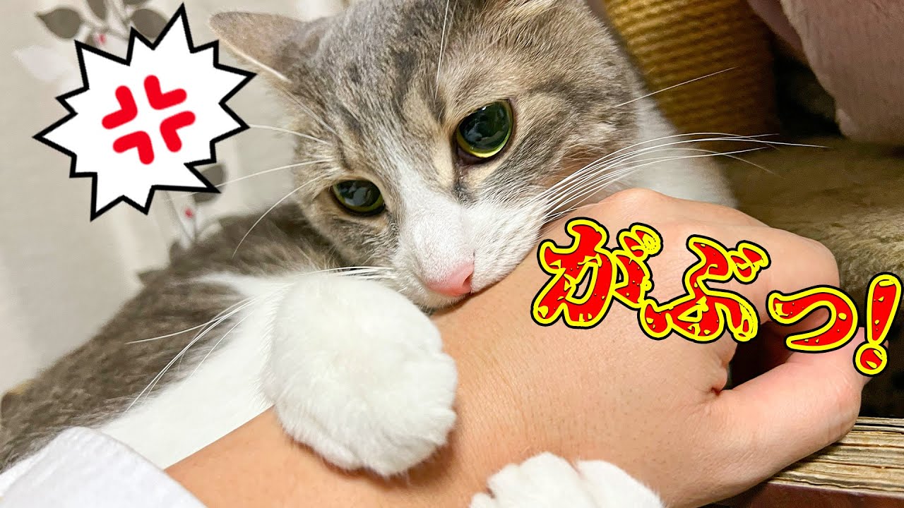 突然スカーから嫌われてしまいました…