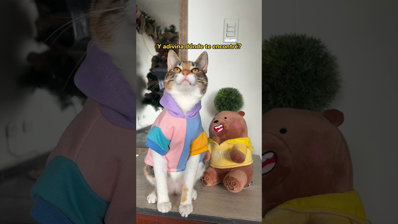 Siempre quise tener una 😽!!