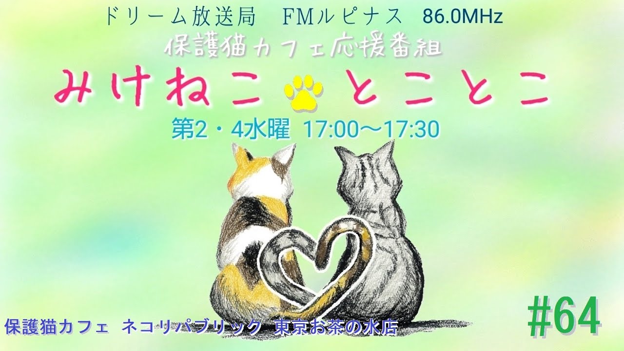 ＜第64回＞！みけねこ☆とことこ　2024/8/28放送