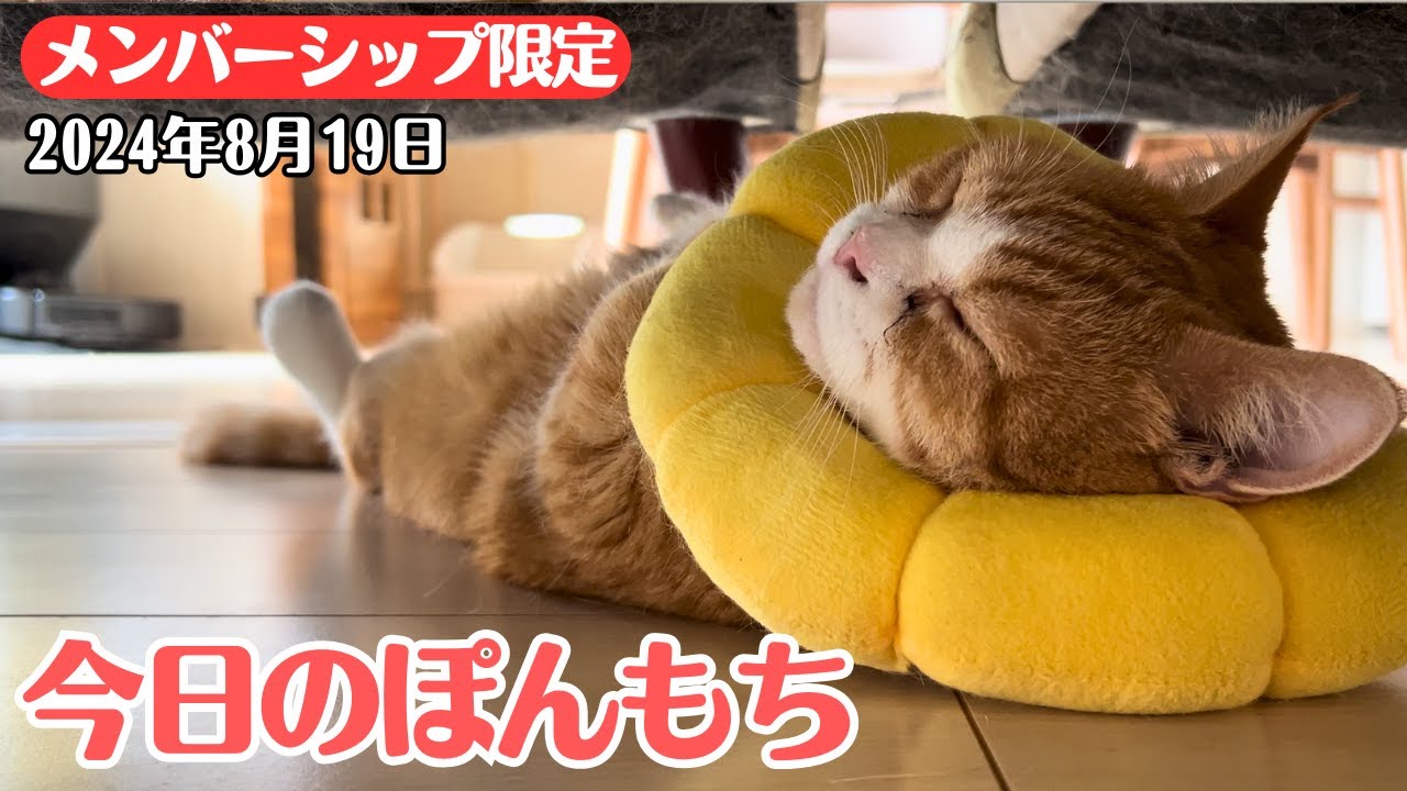 【特別公開】この動画は8月19日にメンバー限定で公開した動画です！