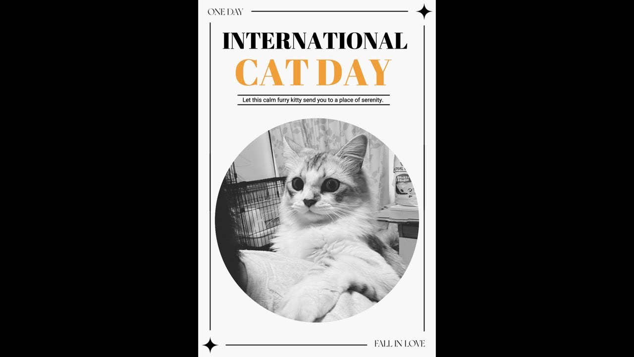 お昼のぷにっとチャンネル🐱初見さんも是非