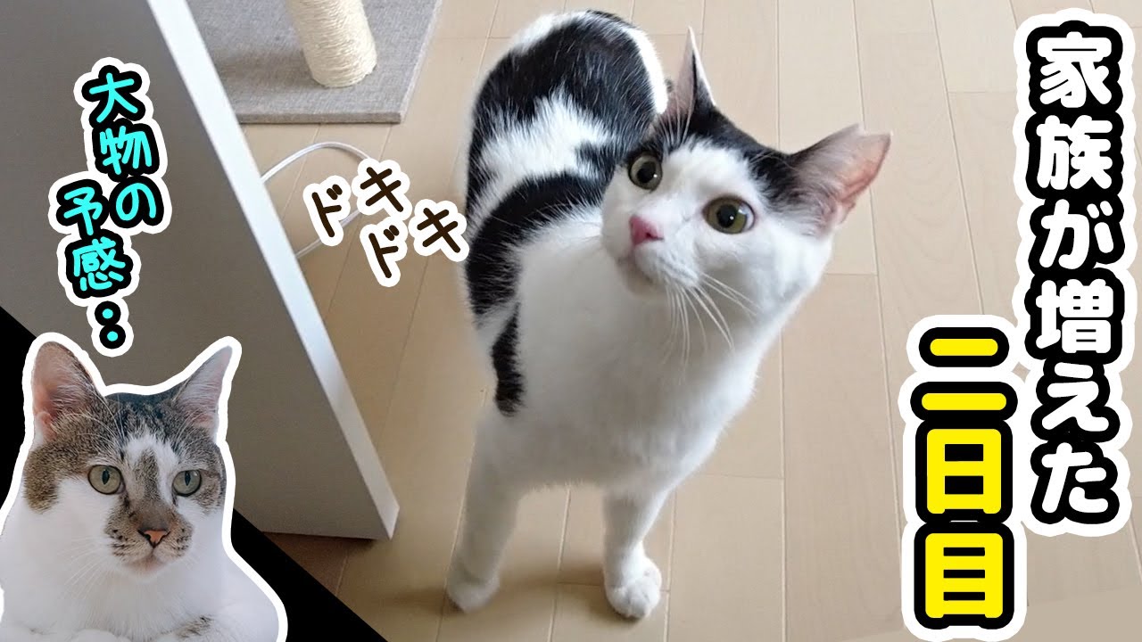 新しく家族が増えて2日目の様子～大物の予感～