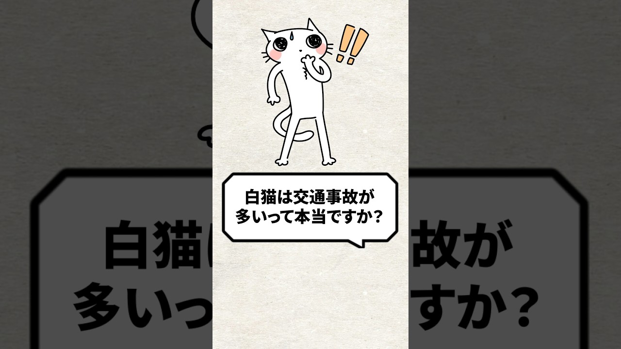 Q：白猫は交通事故が多いって本当？ #猫 #白猫 #ねこ