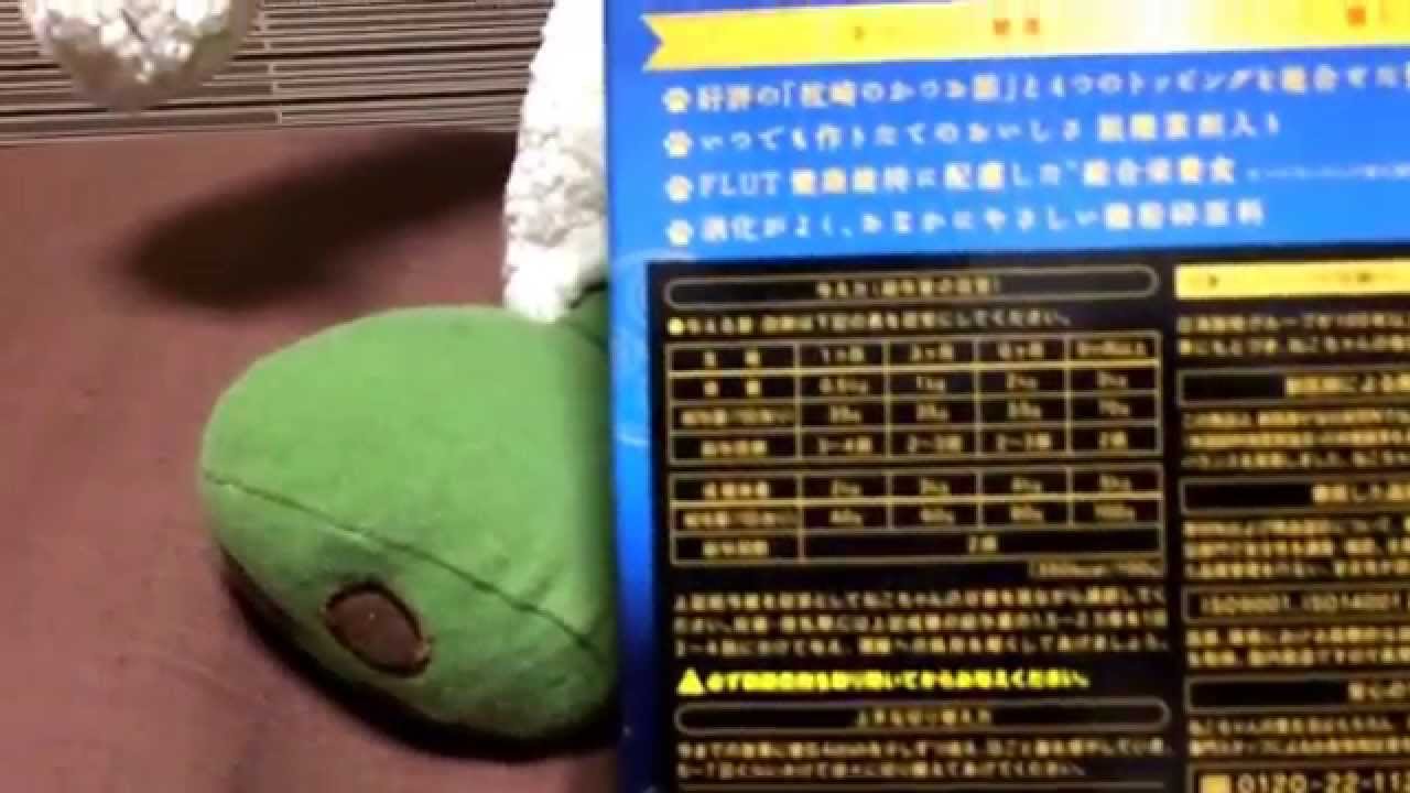 cat アメリカンショートヘアー 懐石の開封レビュー