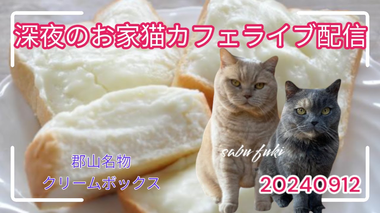 深夜のお家猫カフェライブ配信　１７６