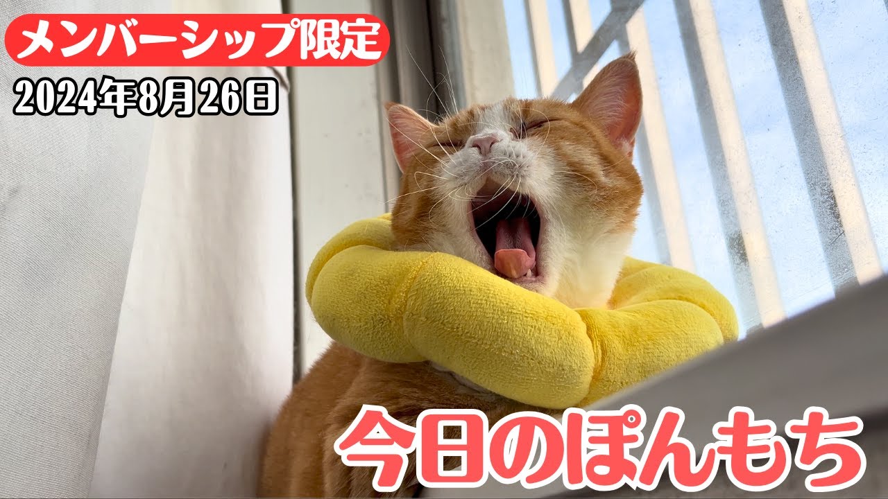 【特別公開】この動画は8月26日にメンバー限定で公開した動画です！