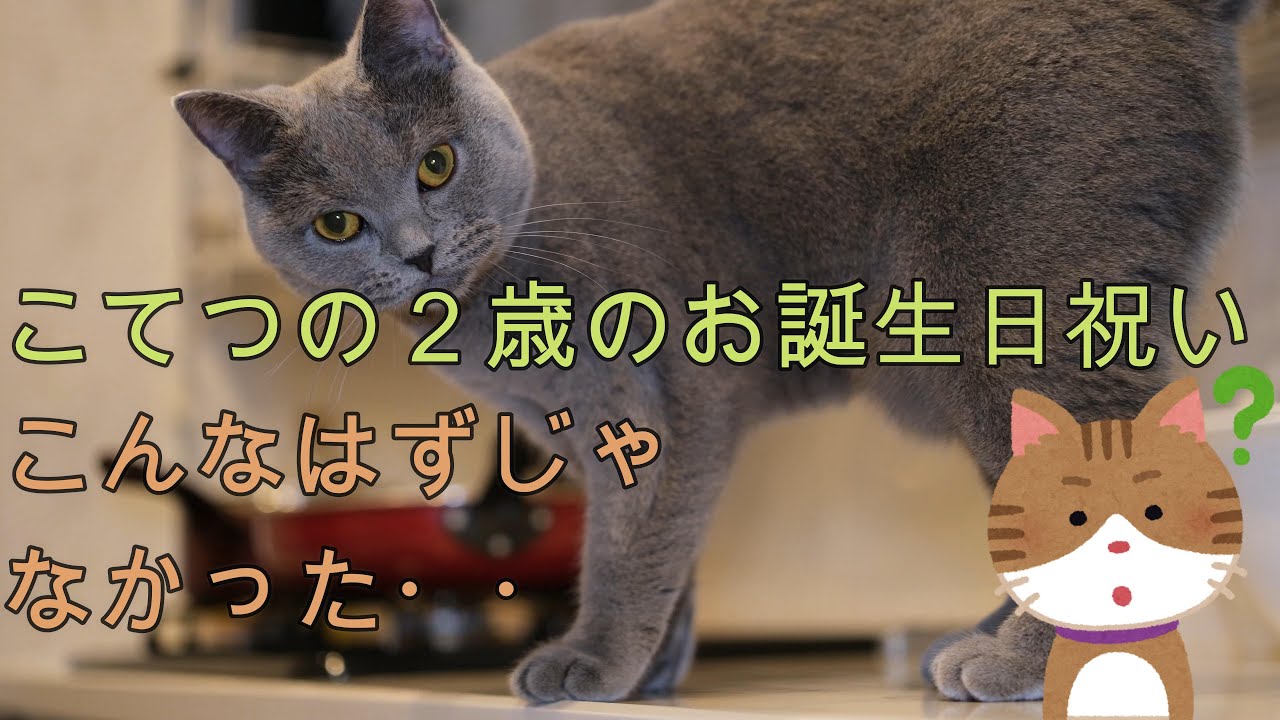 こてつの２歳の誕生日お祝い。こんなはずじゃなかった。。。