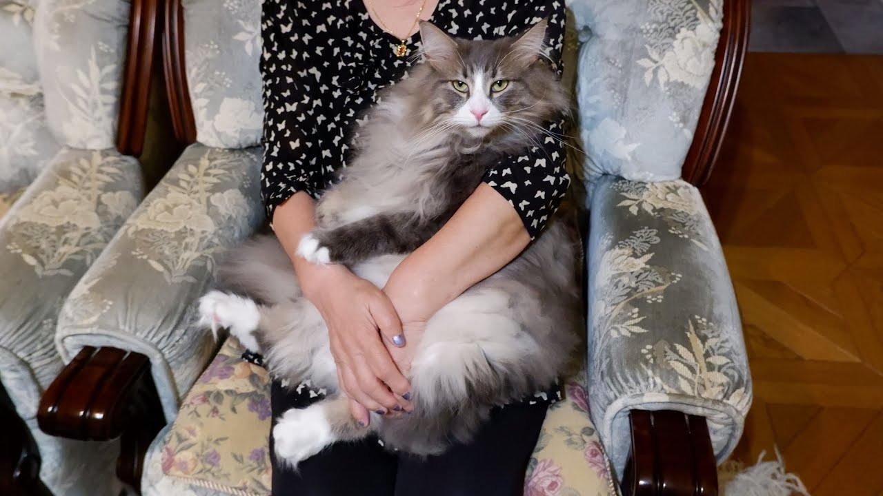 【敬老の日】ばあばいつもありがとう❤️今日もたくさん遊んでくれました！