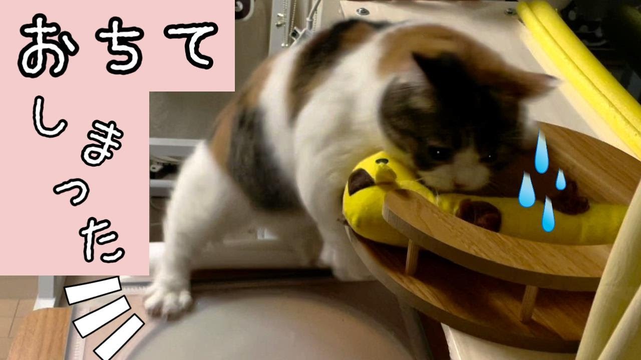 猫タワーから落ちてしまったので足場作り