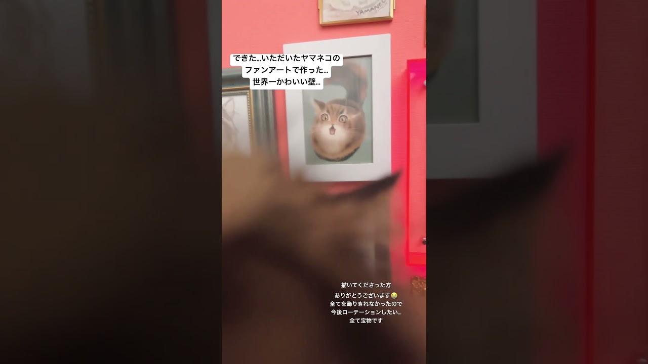 【猫部屋DIY】世界一かわいい壁ができた…！！！#猫 #サイベリアン #diy