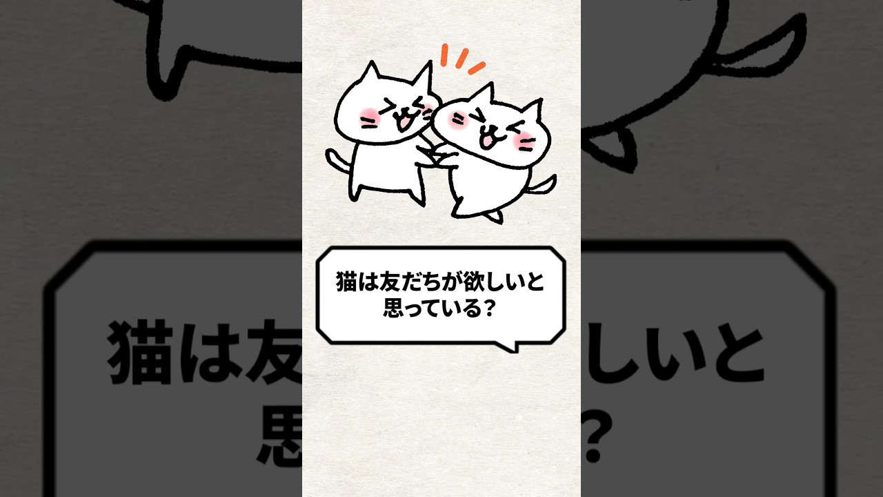Q：猫は友だちが欲しいと思ってるの？ #猫 #猫好き #ねこ