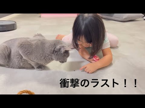 小さいクモと遊ぶぺぺ。衝撃のラストにドン引きする娘