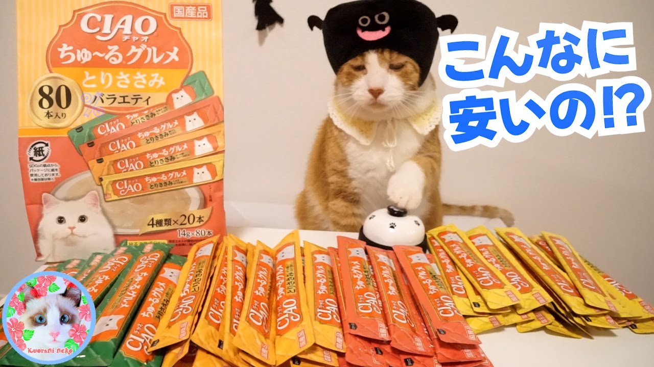 いまだかつてない程の激安いなばちゅーるをゲットしました Cheap cat treats