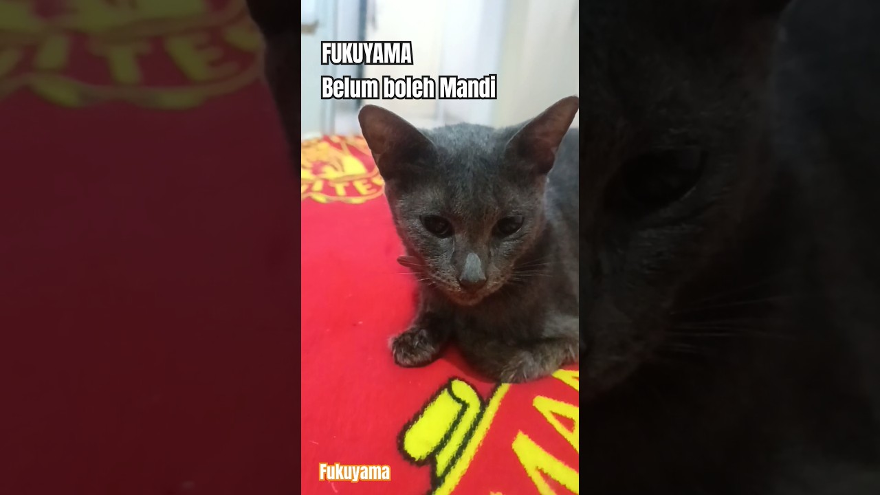 Kata Dokter nunggu sebulan baru boleh mandi