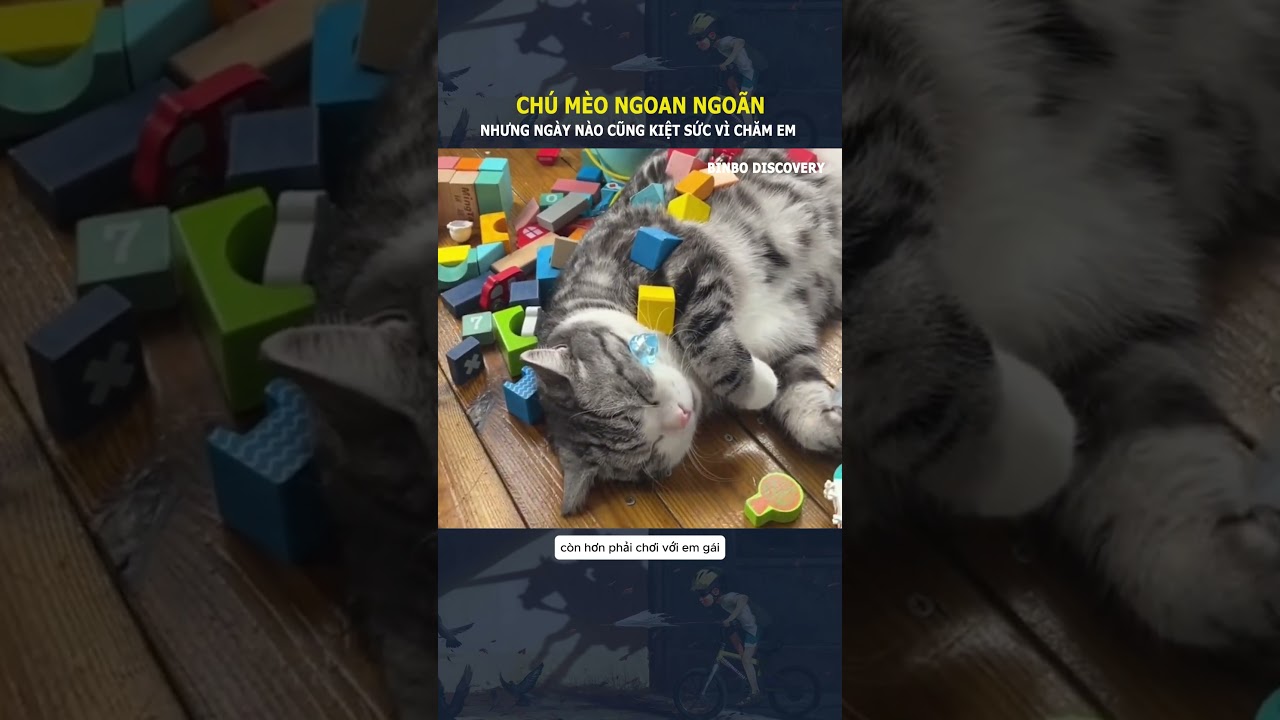 Chú mèo kiệt sức vì chăm em#shorts