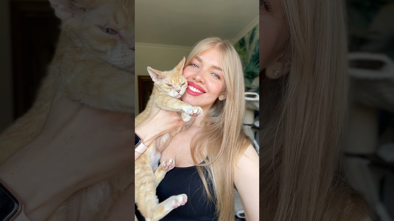 Orange girls🤩 #love #devon #devonrex #cute #shortsviral #shortsfeed #youtubechannel #cat #usa