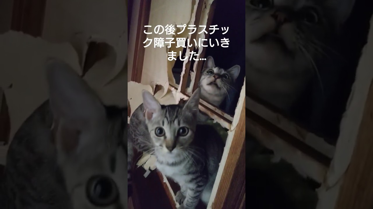 嫁ちゃん初撮影🔰①　日曜午前、三姉妹の過ごし方