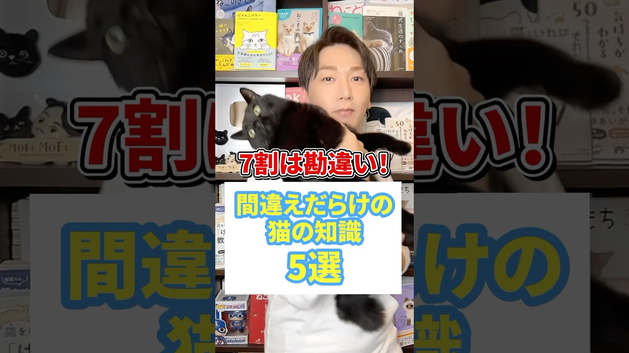 ７割は勘違い！間違えだらけの猫の知識５選 #猫 #猫のいる暮らし #ねこ