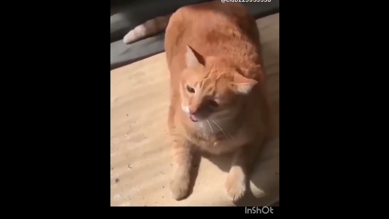 12 сентября 2024 г.