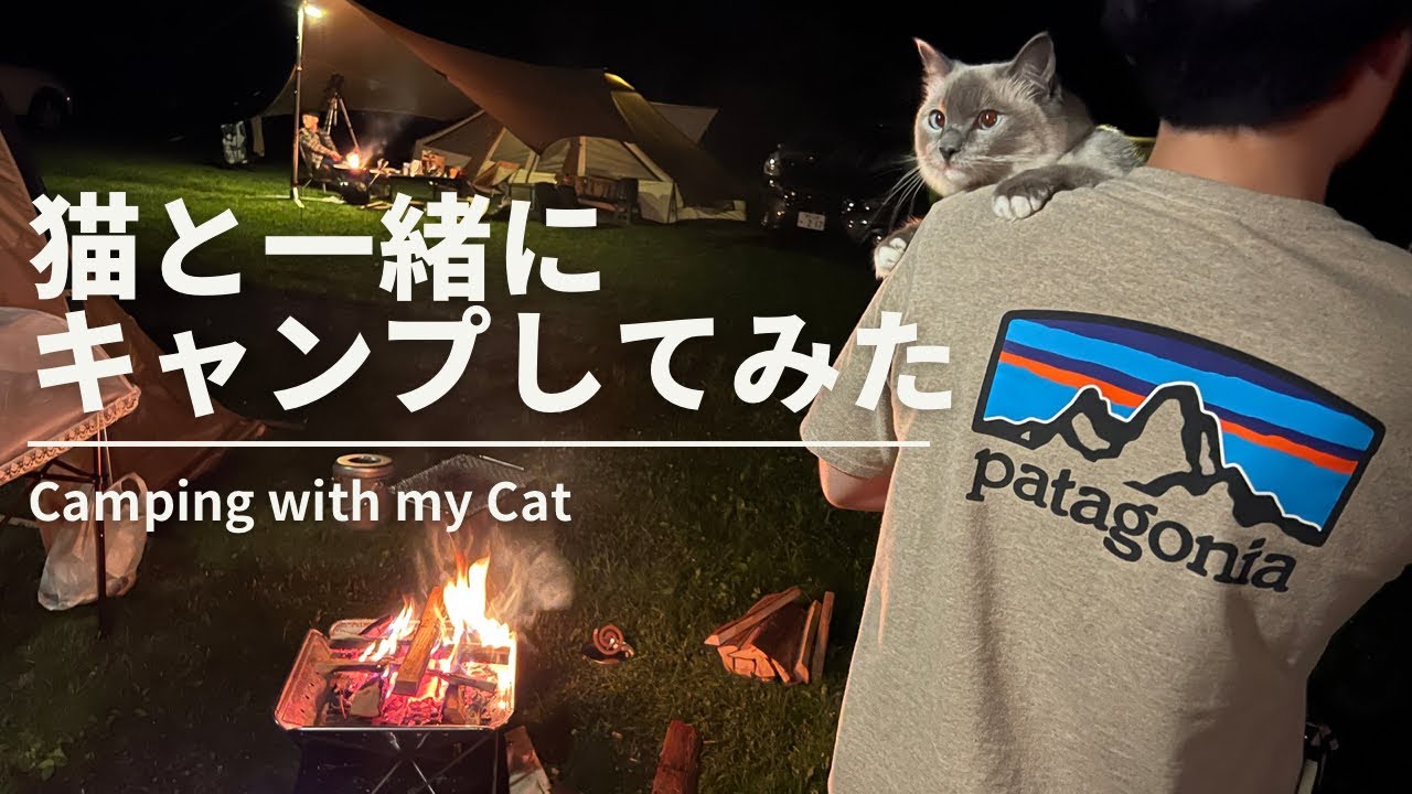 ラグドール猫と北軽井沢でキャンプをしてみた！ / Went Camping with Cat!