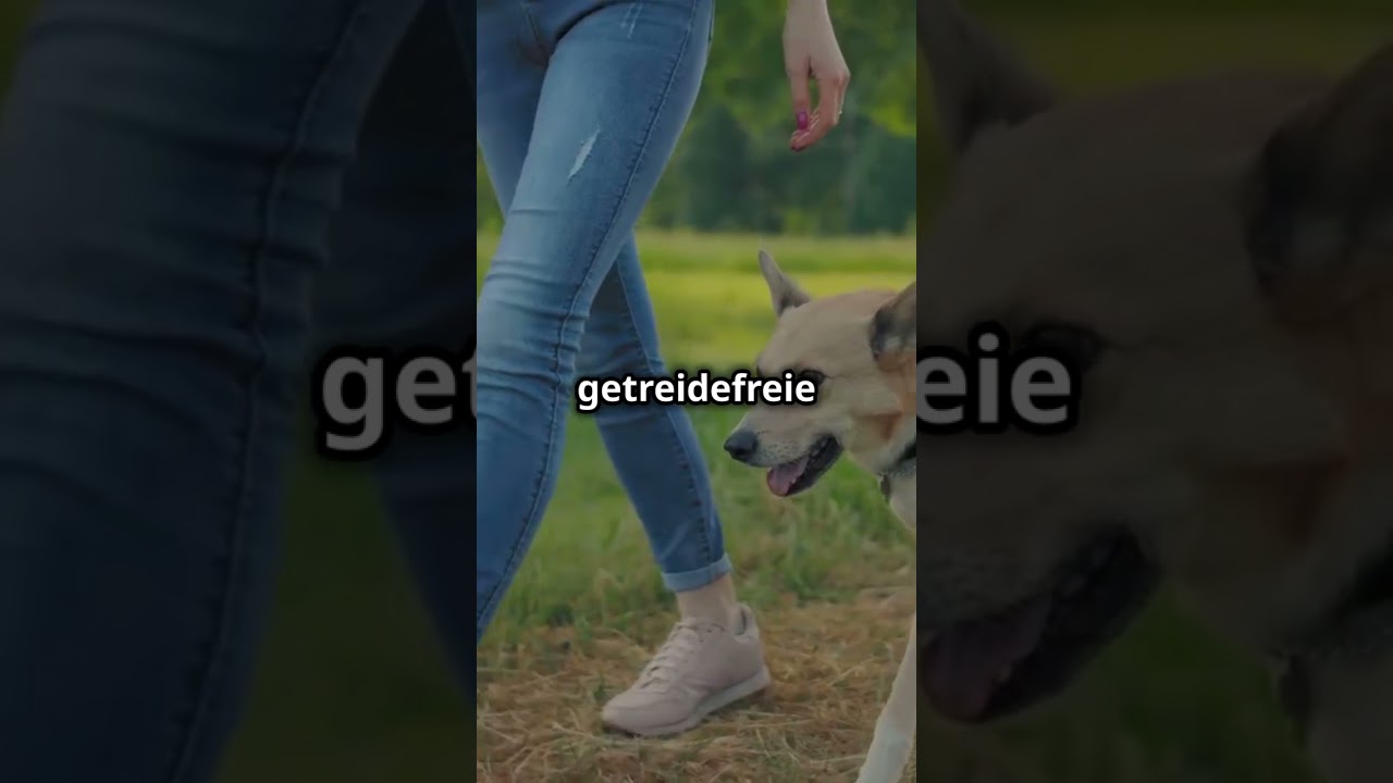 Die besten Tipps für Katzen , Hunde  und Pferde