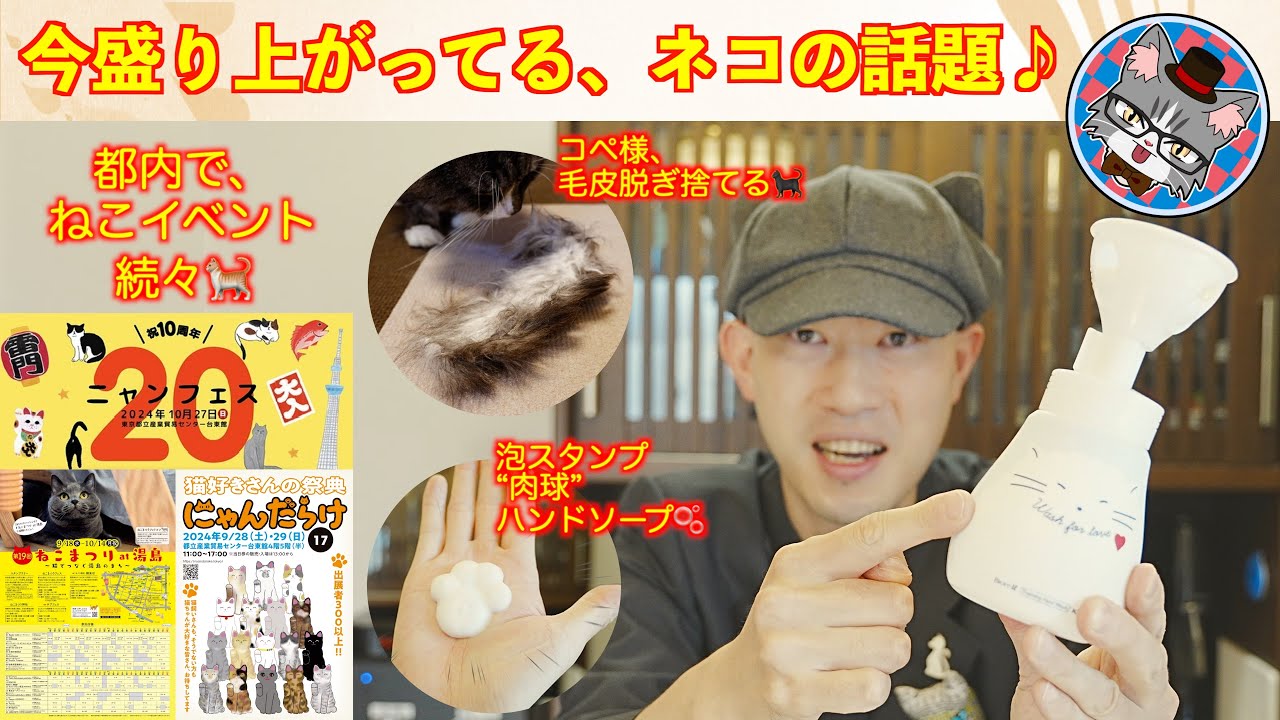 【今盛り上がってる、ネコの話題】長毛猫の巨大毛玉、肉球泡ハンドソープ、そして近日開催予定のねこねこイベント情報♪