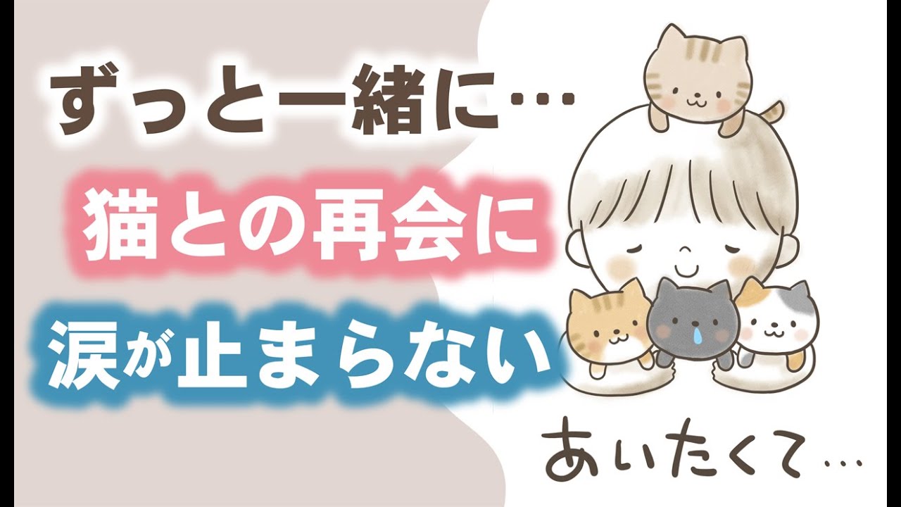 涙活！！ずっと一緒に…ネコとの再会に涙が止まらない #迷い猫​​​​ #保護猫​​​​ #猫