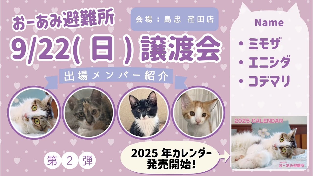 9月22日(日)譲渡会出場予定メンバー紹介第2弾